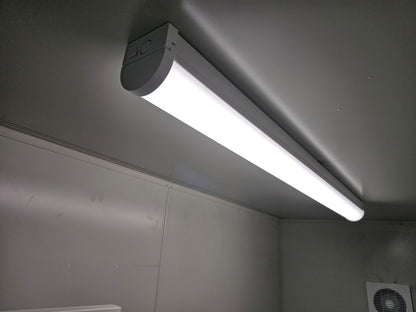 RAPTA LED Batten Light Tri Colour 1200mm